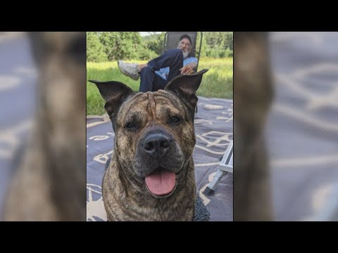 Massachusetts man&#039;s dying wish is to find new home for his best friend